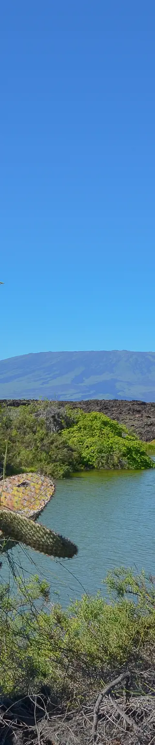 Erklimme einen Vulkan auf der Isla Isabela